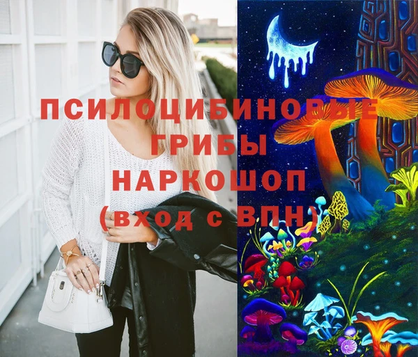 соль ск Нея